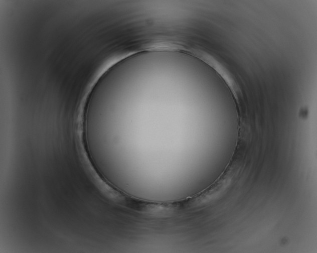 X0000102821195200809021243