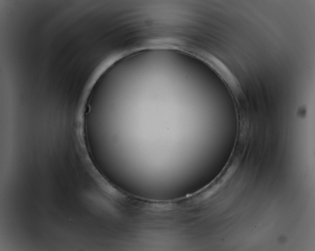 X0000102821196200809021243