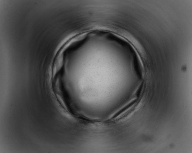 X0000102821198200809021243