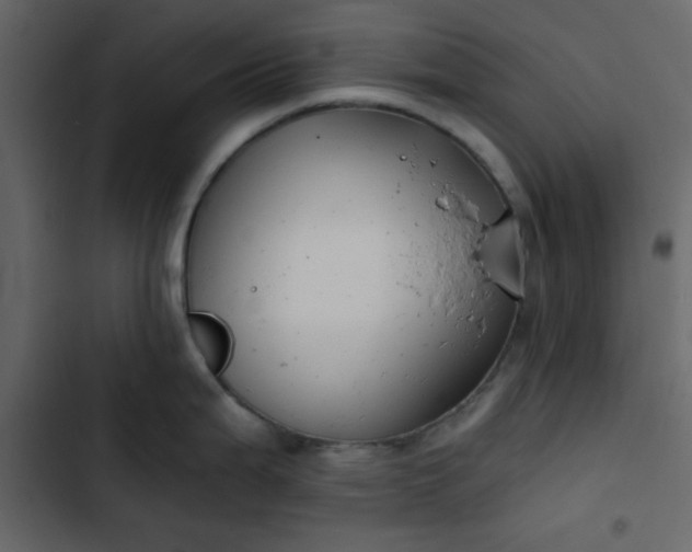 X0000102821199200809021243
