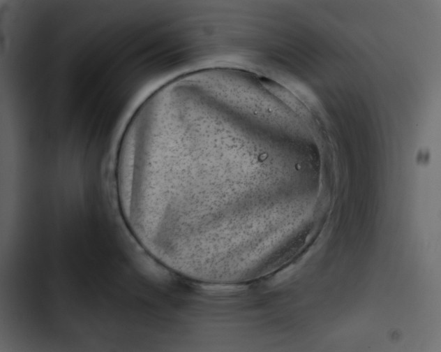 X0000102821200200809021243