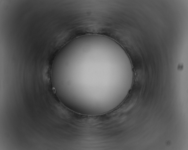 X0000102821202200809021242