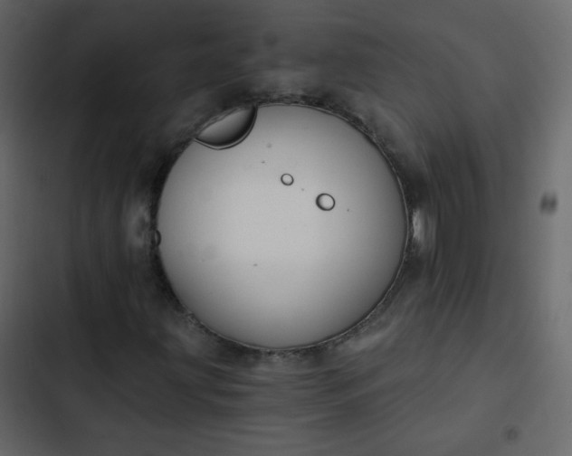 X0000102821203200809021242