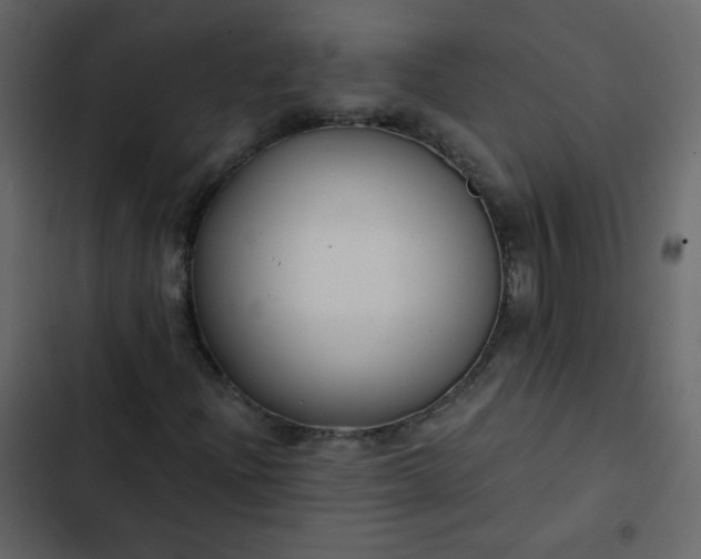 X0000102821204200809021242