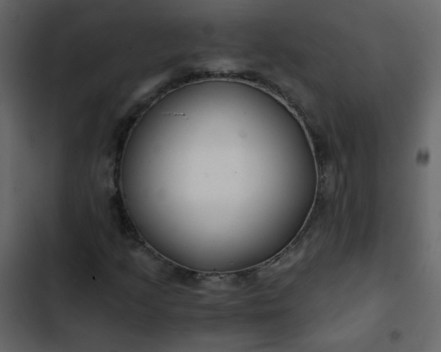 X0000102821205200809021242