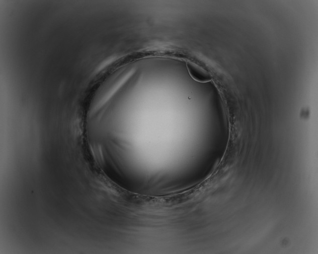 X0000102821206200809021242