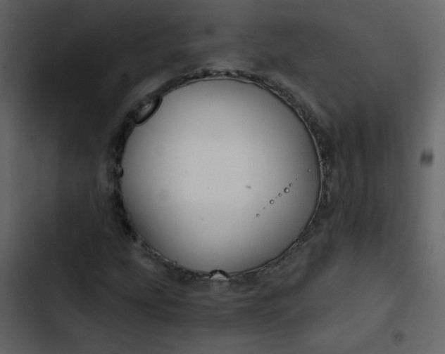 X0000102821207200809021242