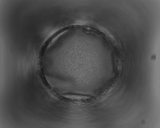 X0000102821208200809021242