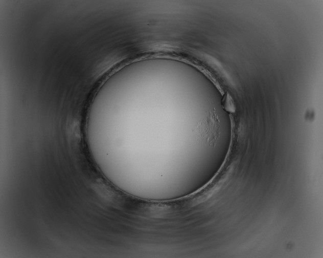 X0000102821209200809021242