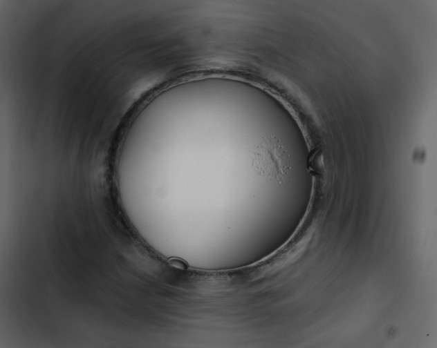 X0000102821210200809021242