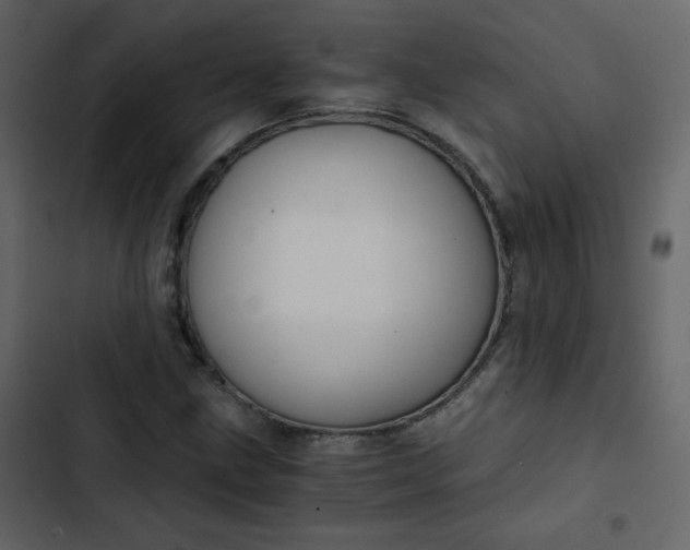 X0000102821211200809021242