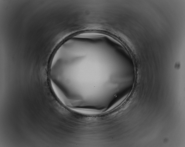 X0000102821212200809021242