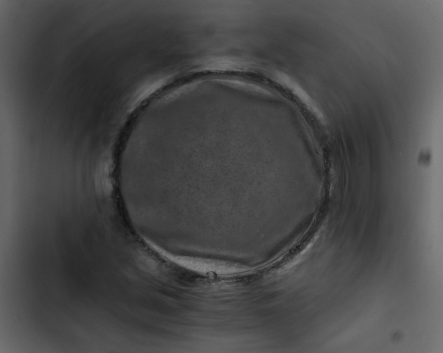 X0000102821213200809021242