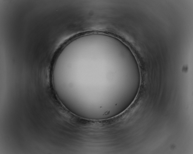 X0000102821214200809021242