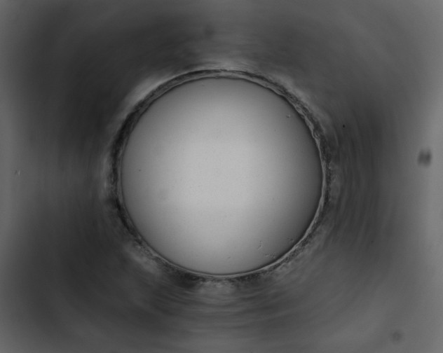 X0000102821215200809021242