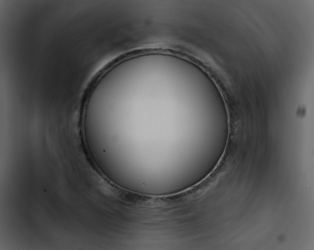 X0000102821216200809021242