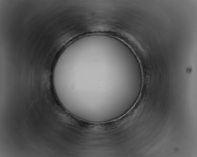 X0000102821217200809021242