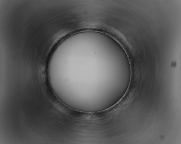 X0000102821218200809021242