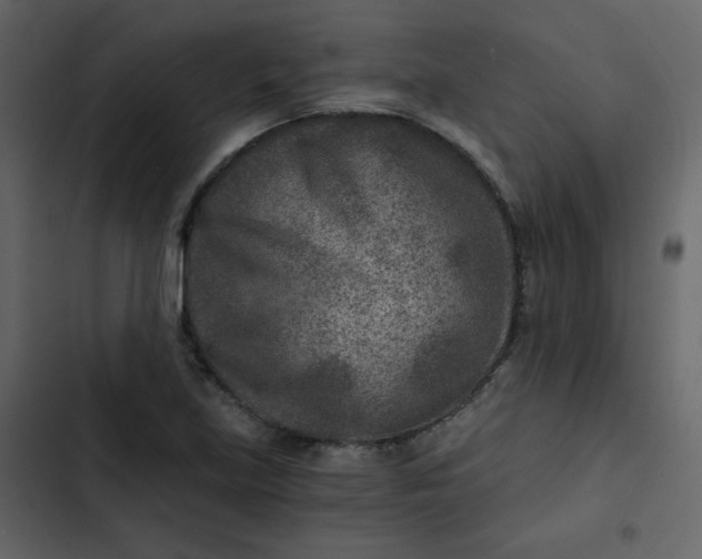 X0000102821219200809021243