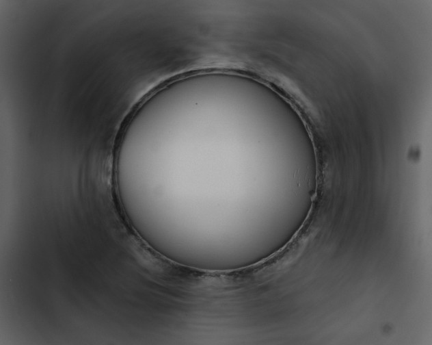 X0000102821220200809021243