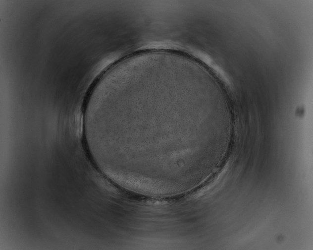 X0000102821221200809021243