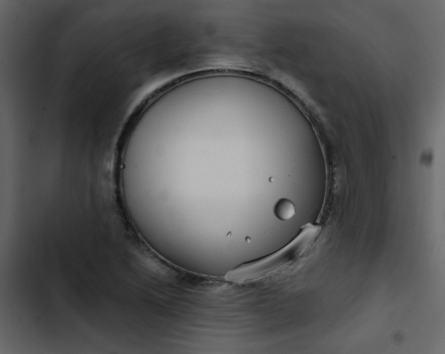 X0000102821222200809021243