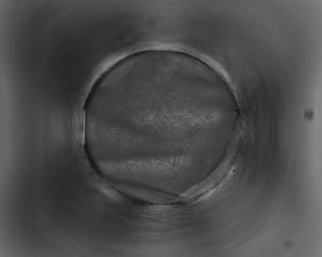 X0000102821223200809021243