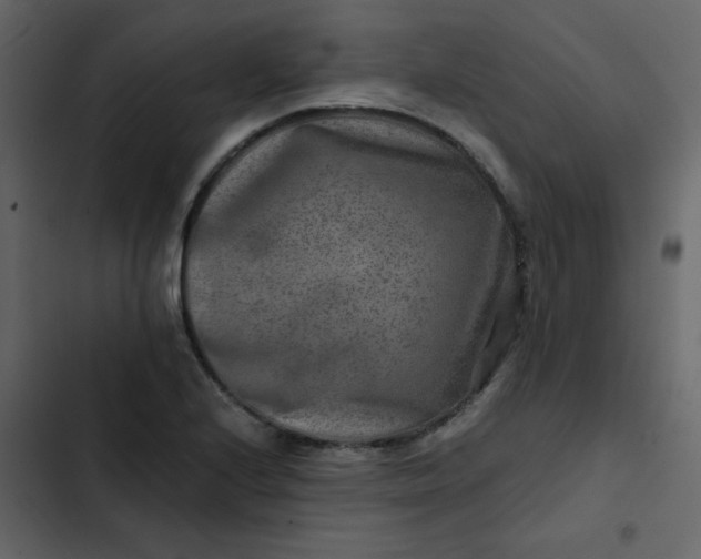 X0000102821224200809021243
