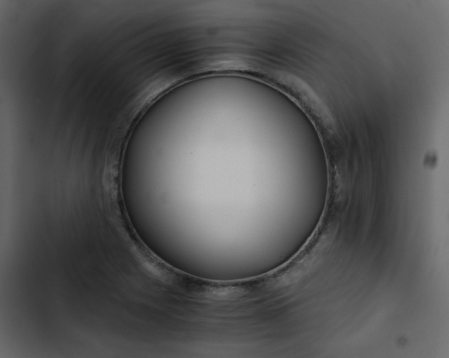 X0000102821225200809021243