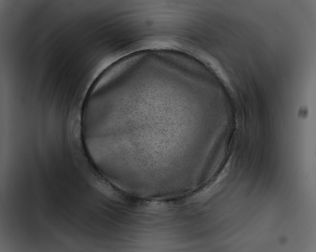 X0000102821226200809021243