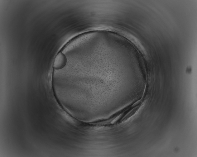 X0000102821228200809021243