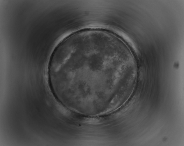 X0000102821229200809021243