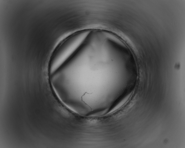 X0000102821230200809021243