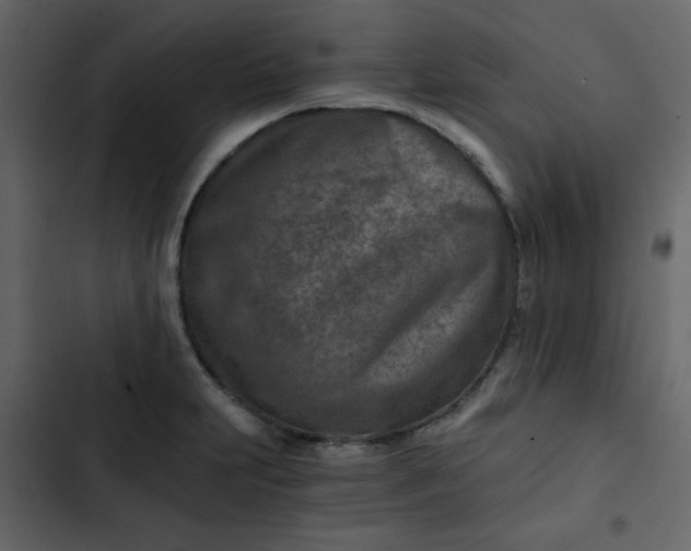 X0000102821231200809021243
