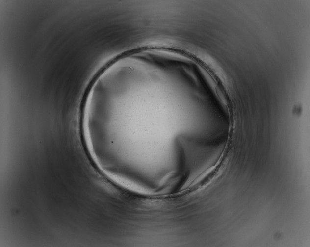 X0000102821232200809021243