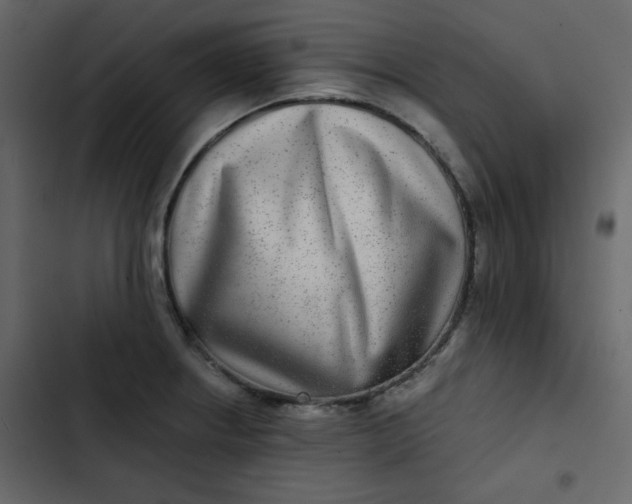 X0000102821234200809021243