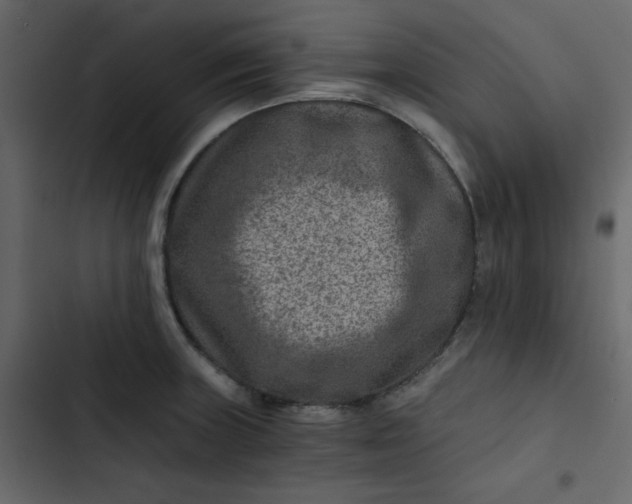 X0000102821235200809021243
