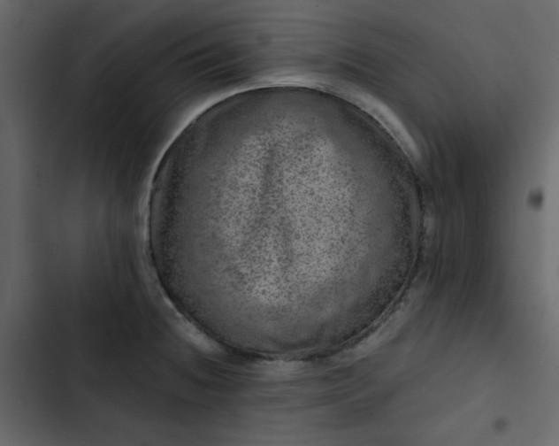 X0000102821236200809021243