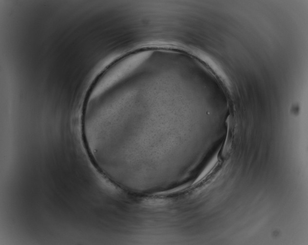 X0000102821237200809021243