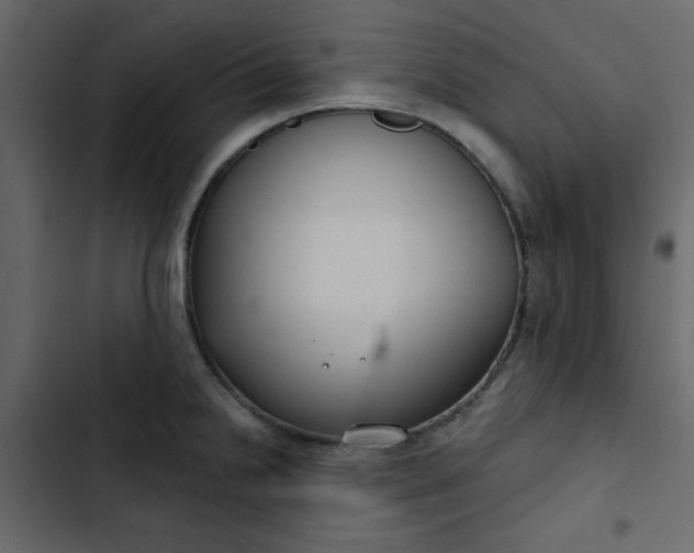 X0000102821238200809021243