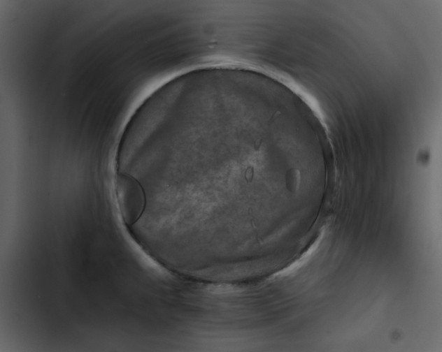 X0000102821239200809021243