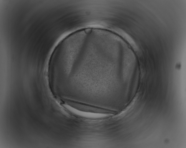 X0000102821240200809021243