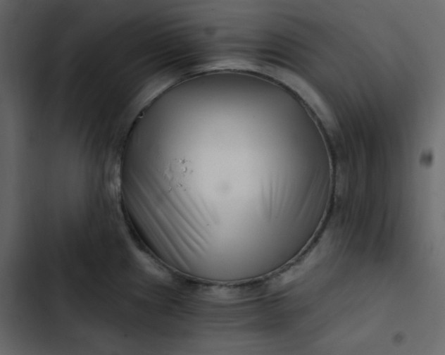 X0000102821241200809021243