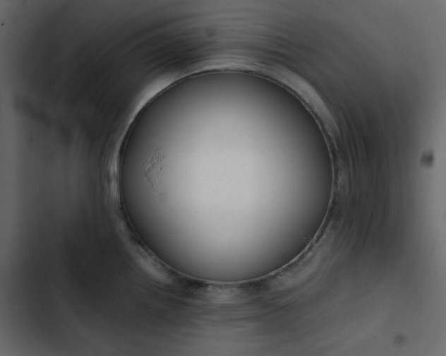 X0000102821242200809021243