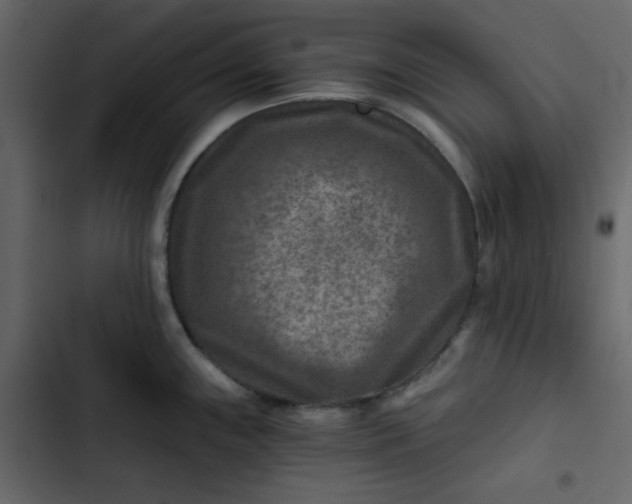 X0000102821243200809021243