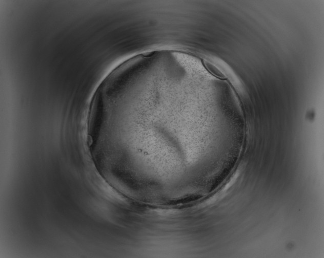 X0000102821244200809021243