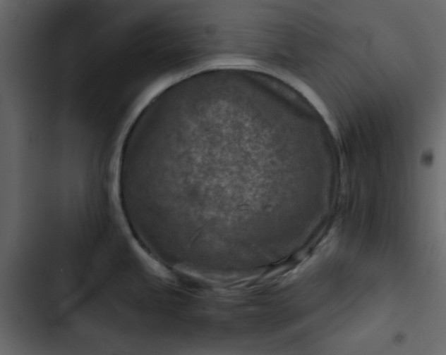 X0000102821245200809021243