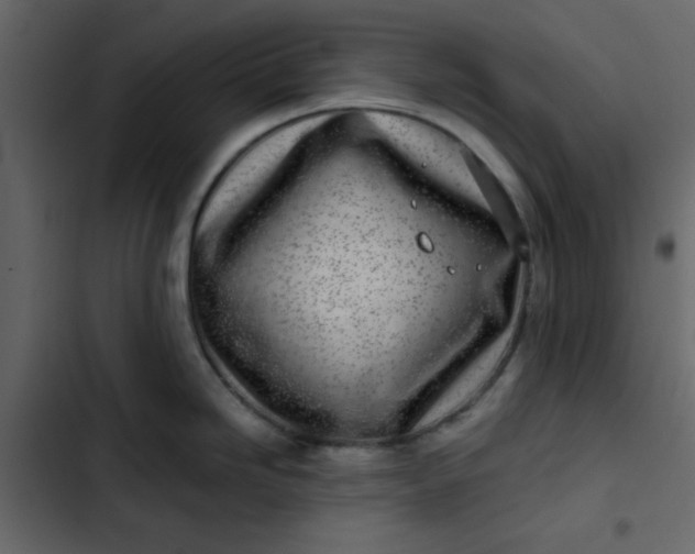 X0000102821246200809021243