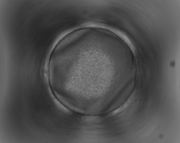 X0000102821247200809021243