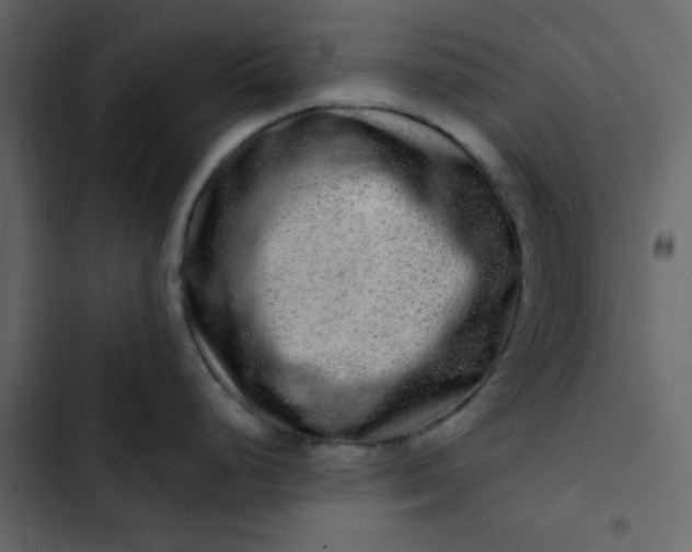 X0000102821248200809021243
